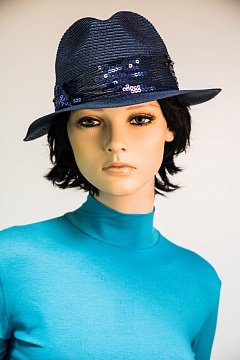 Изображения VI&SE 17-VKS-81